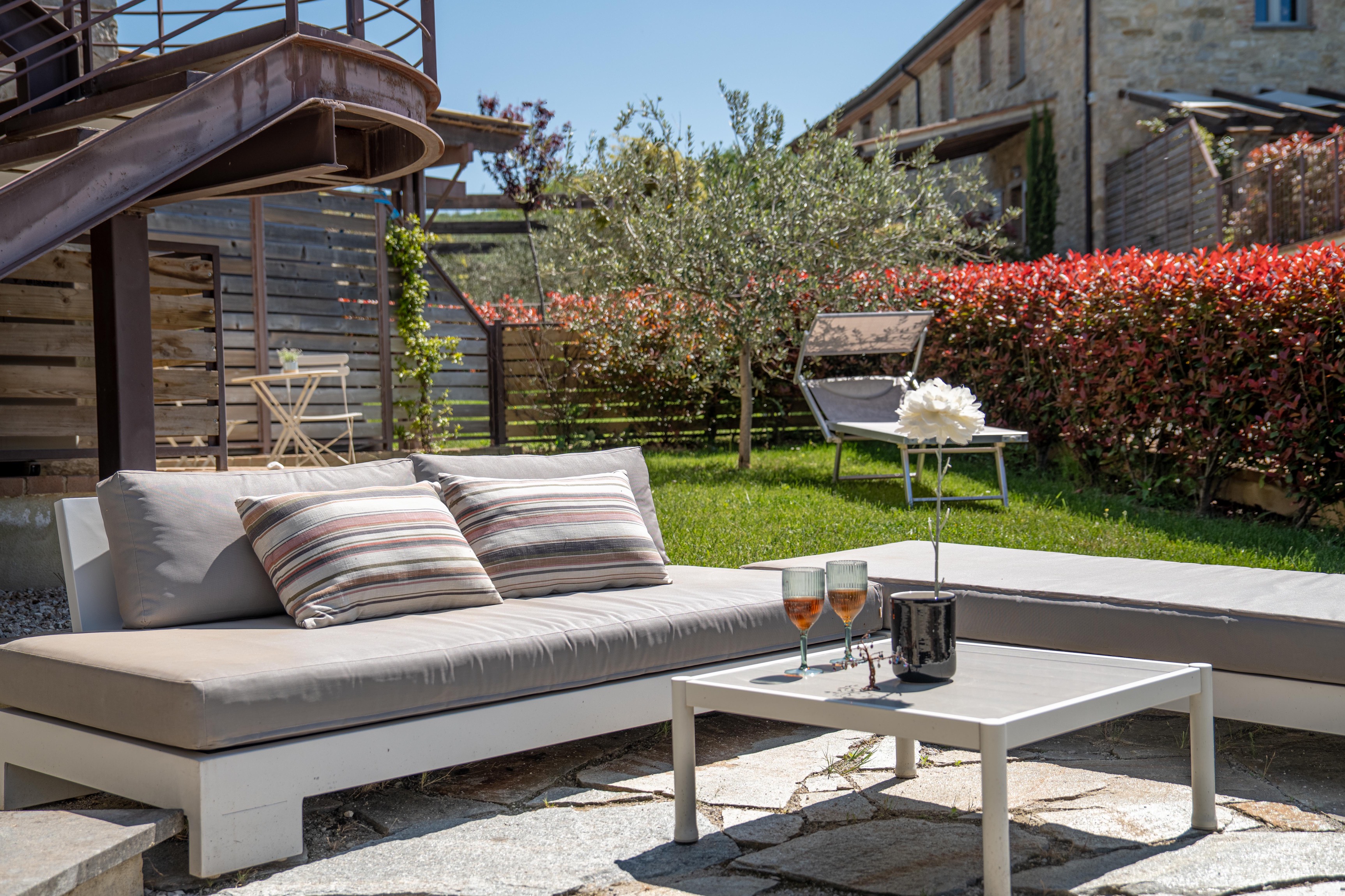 Garden lounge seating area with olive tree and red photinia hedge